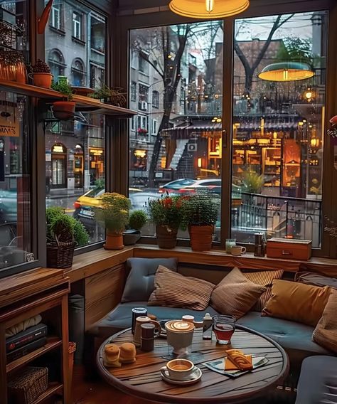 Cozy Cafe Interior, Sitting Room Interior Design, Best Rooms, Coffee House Design, Cosy Cafe, Aesthetic Interior Design, Bookstore Cafe, Cozy Coffee Shop, Coffee Shop Aesthetic