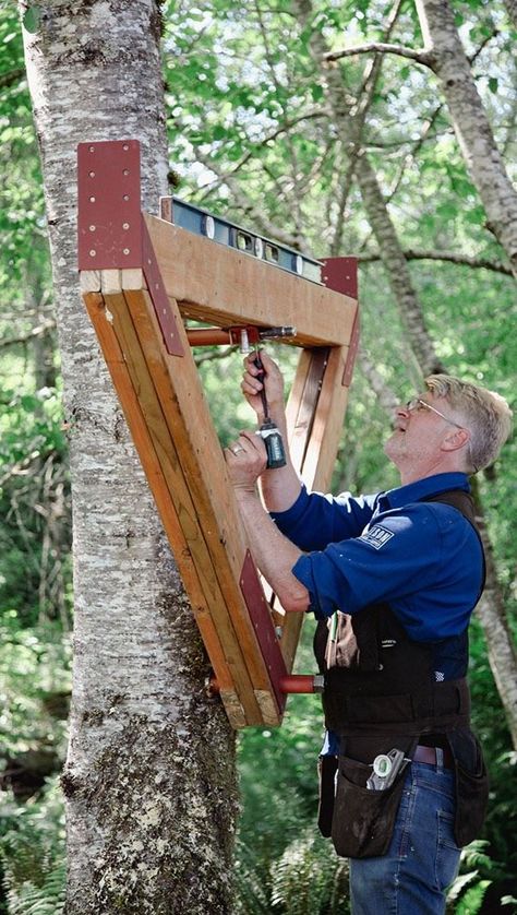 Portfolio - Nelson Treehouse Treehouse Construction, Tree Landscaping, Tree House Plans, Tree Fort, Tree House Diy, Cool Tree Houses, Tree House Designs, Single Tree, Backyard Playground