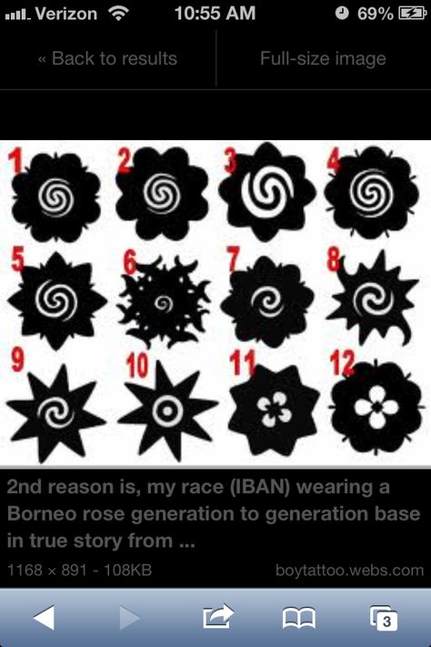 Borneo rose variations Iban Tattoo, Tato Suku, Tato Tradisional, Borneo Tattoo, Pola Tato, Filipino Tattoos, Native Tattoos, Polynesian Tattoos, Men Tattoos