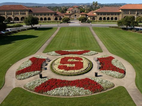 The 50 Most Beautiful College Campuses in America | Condé Nast Traveler University Inspiration, Block Chain, Dream College, Top Colleges, Dream School, College Campus, University Campus, Stanford University, College Fun