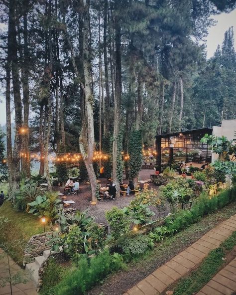 Forest Design Landscape, Coffee In The Forest, Forest Cafe Outdoor, Cafe Forest Design, Forest Restaurant Design, Nature Cafe Design, Forest Cafe Design, Forest Resort Ideas, Cafe In Forest