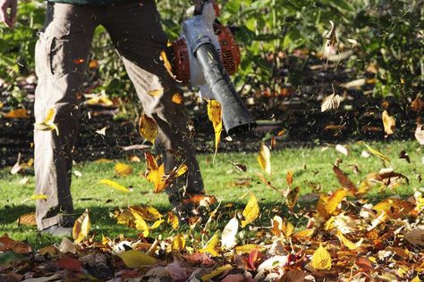 Autumn Checklist, Yard Cleanup, Fall Clean Up, Cordless Leaf Blowers, Lawn Care Tips, Leaf Blowers, Bob Vila, Small Ponds, Leaf Blower