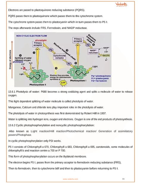 CBSE Class 11 Biology Chapter 13 - Photosynthesis in Higher Plants Revision Notes Photosynthesis In Higher Plants Notes, Photosynthesis In Higher Plants, Math Formula Sheet, Class 11 Notes, Class 11 Biology, Electron Transport Chain, Biology Revision, Coding Courses, Biology Teacher