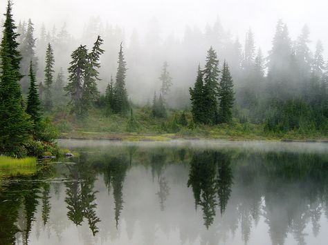 Misty Lake, Lake Washington, Lake Painting, Foggy Forest, Misty Forest, Pretty Landscapes, Forest Painting, Watercolor Landscape Paintings, The Fog