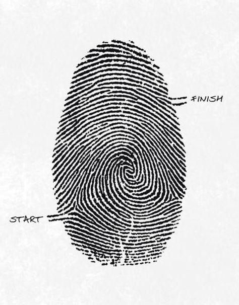 Fingerprint maze Labyrinth Maze, Poesia Visual, Maze Design, Amoled Wallpapers, Kuantan, Get To Know Me, Infj, Labyrinth, The Words