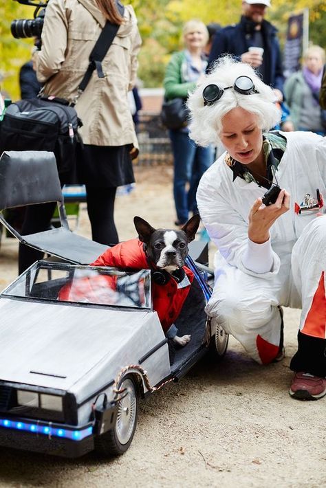 Halloween Costumes With Your Dog, Costumes With Your Dog, Doc Brown Costume, Cool Couple Halloween Costumes, Dog Owner Matching, Puppy Halloween Costumes, Best Dog Costumes, York Dog, Dog Parade