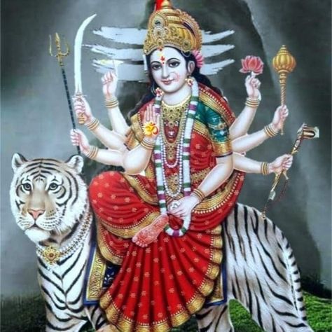 Amba Mataji Images, Durga Maa Pictures, Lord Durga, Maa Durga Photo, Maa Image, Durga Picture, Devi Images Hd, Wild Animal Wallpaper, Happy Navratri Images