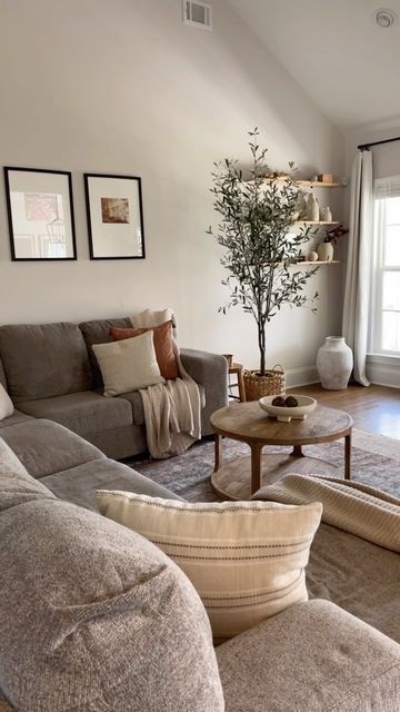 Organic Modern Decor Small Space, Dark Room Aesthetic Living Room, Organic Modern With Grey Couch, Farmhouse Organic Decor, Gray Apartment Living Room Cozy, Living Room Greige Couch, Home Decor Grey Couch, Grey Couch Modern Organic, Organic Modern Gray Couch