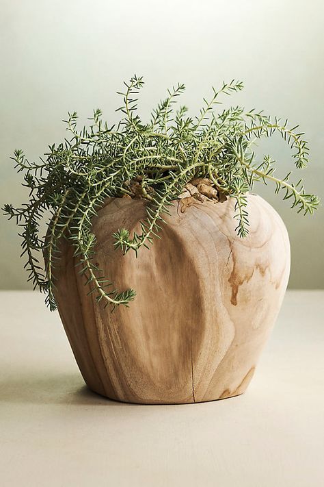 Carved from natural teak and left unfinished to showcase the organic shape of the wood, these low-maintenance planters make one-of-a-kind homes for succulents and drop-in plants. | Teak Root Shoulder Planter in Beige, Size: 12" at Terrain Big Leaf Indoor Plant, Earthy Home Decor, Floor Bathroom, Wood Shapes, Organic Wood, Wood Vase, Big Leaves, Easter Shopping, Hand Poured Candle