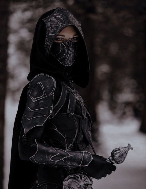 D&d Rogue Aesthetic, Rogue Dnd, Ice Kingdom, Broken Blade, Assassin's Blade, Art Academia, Aelin Ashryver Galathynius, Celaena Sardothien, Aelin Galathynius