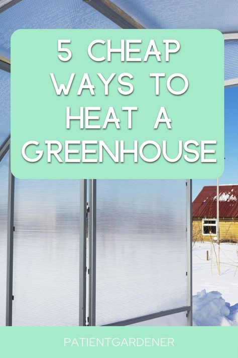 Greenhouse In Winter, Harbor Freight Greenhouse, Raised Veggie Gardens, Diy Mini Greenhouse, Heating A Greenhouse, Preschool Garden, Diy Greenhouse Plans, Winter Greenhouse, Outdoor Greenhouse