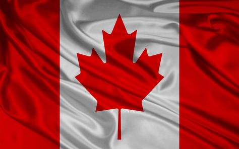 the canada flag colors - Yahoo Image Search Results Flag Gif, Happy Canada Day, League Table, Canadian Flag, Fabric Flags, University Of Toronto, Personalized Learning, Canada Day, Flag Colors