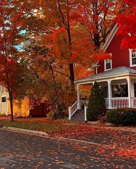 Fall Halloween Aesthetic Photos, Autumn House Aesthetic, Fall Aesthetic Vibes, Fall Photos Aesthetic, Red Fall Aesthetic, Autumn Season Aesthetic, Fall Season Aesthetic, Aesthetic Fall Pictures, Fall Aesthetic Photos