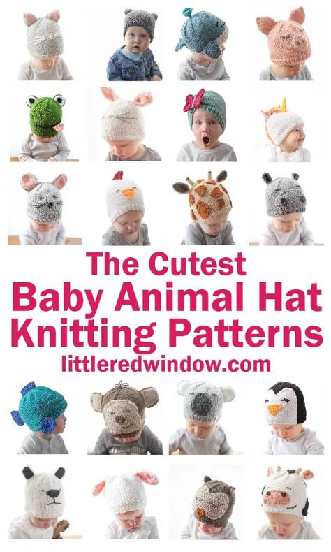 Baby Hat Knitting Patterns, Baby Hat Knitting Patterns Free, Beanie Hat Pattern, Kids Knitting Patterns, Baby Hat Knitting Pattern, Crochet Baby Beanie, Hat Patterns Free, Animal Knitting Patterns, Baby Hat Patterns