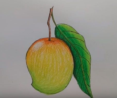 *FR*Mango Drawing & Sketches for Kids Fruit Drawing For Kids, Basic Drawing For Kids, Drawing Fruit, Oil Pastel Techniques, Fruit Drawing, Fruit Art Drawings, Drawing Lessons For Kids, Children Sketch, Fruits Drawing