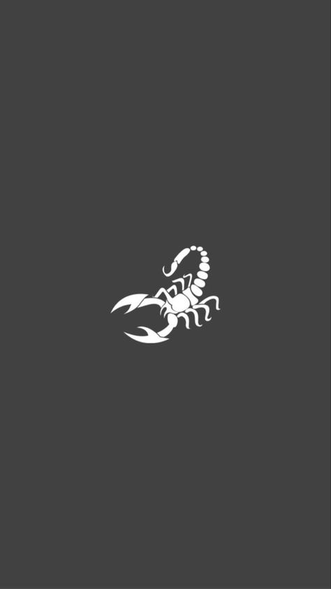 Scorpion Art Design, Scorpion Aesthetic, Carrot Tattoo, Scorpion Wallpaper, Scorpio Wallpaper, Scorpion Logo, Anime Tattoo Designs, Aesthetic Animals, Scorpio Art