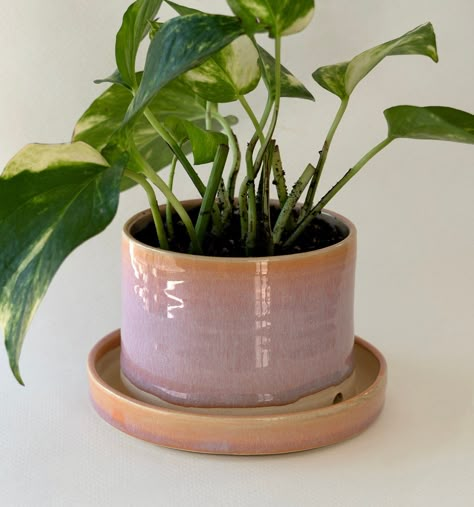 "Our Table Top Planters are thrown as one form, featuring attached bases and drainage holes. The medium size includes 2 hidden holes built into the sides. The attached base allows the option of bottom watering. They are thrown in white stoneware and dipped in our house made glazes. Size: approx 4\" x 4\" x 4\" *Each piece is individually handmade and might look slightly different from the images. **Allow  6-8 weeks for the making of each piece. Every item is made to order and goes through two firings.  One from the greenware state to bisque, and another from bisque to a finished vitrified glazed stoneware.  Please reach out if you have any questions!" Bottom Watering, Ideas Ceramica, Ceramic Wheel, Ceramic Plant Pots, Ceramic Flower Pots, Ceramics Pottery Art, Thrown Pottery, Pottery Sculpture, Pottery Planters