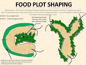 Deer Plot Ideas, Hunting Tips And Tricks Deer, Deer Food Plots Ideas, Deer Food Plots, Plot Design, Hunting Food, Deer Habitat, Hunting Family, Food Plots For Deer