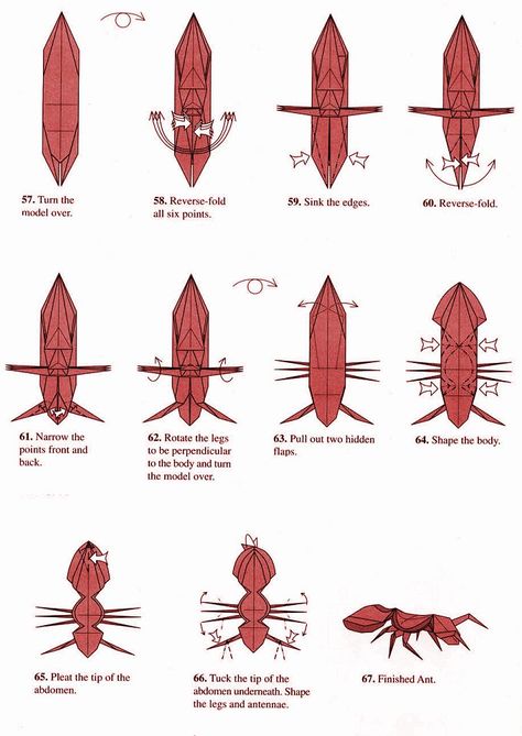 Ant origami diagram 7 Insect Origami, Origami Bugs, Origami Insects, Origami Japan, Origami Plane, Origami Swan, Origami Diagrams, Rainbow Loom Charms, Origami Videos