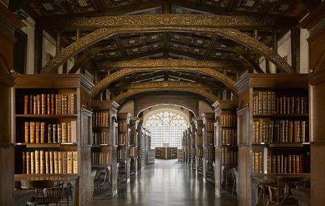 Oxford Buildings, College Gothic, Library Landscape, Medieval Library, Oxford Library, Gothic Library, British Houses, School Buildings, Colonial India