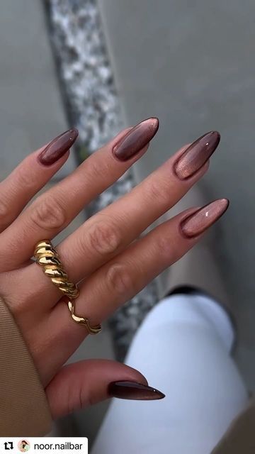 Gel Nails Magnetic, Cute Fall Nails French Tips, Chrome Magnetic Nails, Universe Nails Design, Brown Magnetic Nails, Fall Nails Inspo 2024, Nails With Magnet, Pretty Elegant Nails, Magnet Nails Design