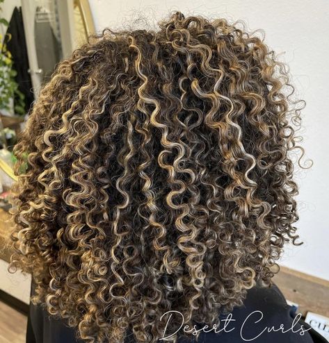 Hair Chestnut Brown, Brown Hair Curly, Auburn Brown Hair, Curly Hair Color Ideas, Blonde Highlights Curly Hair, Natural Hair Highlights, Curly Hair Color, Curly Highlights, Cabello Afro Natural