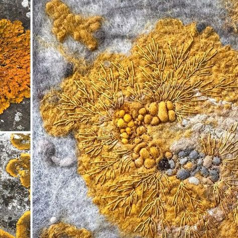 Lynn Comley👩🏻‍🎨 on Instagram: "Caloplaca thallincola coastal lichen. 2/2. This particular lichen grows within the splash zone on rocky shorelines an area where it is particularly difficult for any organism to grow due to exposure and salty spray.  This work will be part of my display at the @embracingwool Burton Constable Hall stables gallery 14th May to 14th July 2024.  🔗Link in bio  . #lichen #rockyshore #orangezone #lownewton #lownewtonbythesea #northumberland  #textileart #embroidery #embroideryart #broderiemoderne #handstitched #textileartist #inspiredbynature #wetfelting #embroideryisart #modernembroidery #threadart #upanddowndale #stitchery #societyforembroideredwork #lichenology #contemporaryart #naturalworld #feltartist #feltmaker #nature  #minutiae  #originalart #needleandthr Moss And Lichen Embroidery, Lichen Embroidery, Lynn Comley, Moss And Lichen, Splash Zone, Rocky Shore, Thread Art, Modern Embroidery, Wet Felting