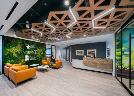 Green Lobby, Communal Workspace, Reception Area Design, Garden Installation, Office Reception Design, Waiting Room Design, Foliage Garden, Crop Protection, Open Ceiling