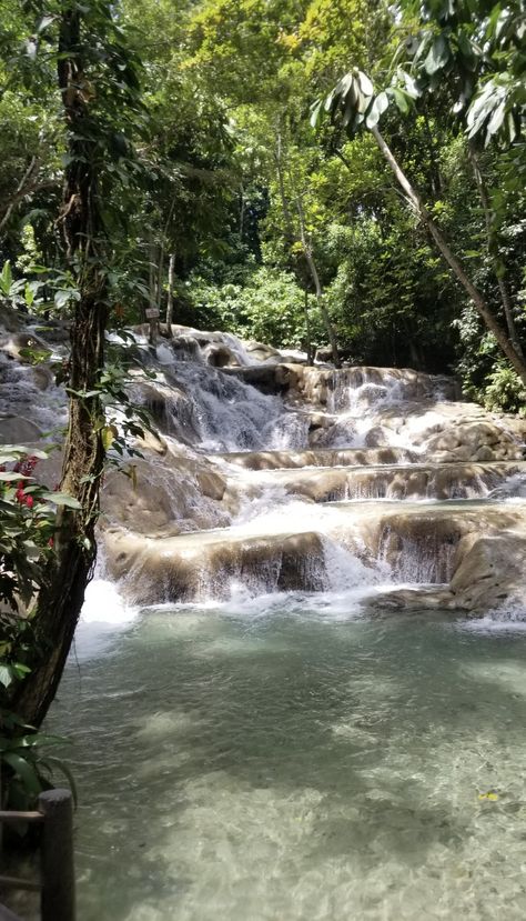 Dunn’s River Falls Duns River Falls Jamaica, Jamaica Dunns River Falls, Jamaica Landscape, Outdoor Restaurant Ideas, Dunns River Falls Jamaica, Dunns River Falls, Jamaican Vacation, Jamaica Vacation, Horse Aesthetic