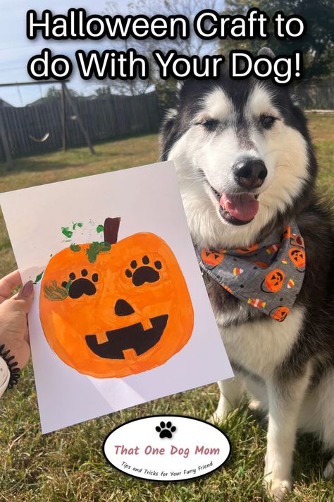 Crafts For Dogs To Do, Dog Fall Activities, Art For Dogs To Do, Dog Halloween Arts And Crafts, Crafts To Do With Pets, Halloween Activities For Dogs, Crafts With Your Dog, Puppy Crafts For Dogs, Dog Daycare Crafts