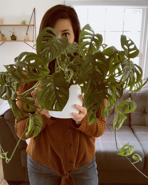 Plant selfie Heart Leaf Philodendron, Monstera Adansonii, Back Photo, Posing Inspiration, Self Portrait Poses, Portrait Poses, Photo Idea, Selfies, Outdoor Gardens