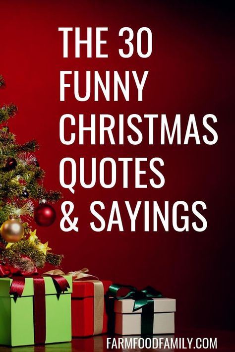 30+ Funny Christmas Quotes & Sayings That Make You Laugh Holiday Work Quotes Funny, Smells Like Christmas Quotes, Funny Christmas Signs Hilarious, Silly Christmas Quotes, Holiday Message Board, Clever Christmas Quotes, Sassy Christmas Quotes, Merry Christmas Funny Hilarious, Christmas Sayings Funny