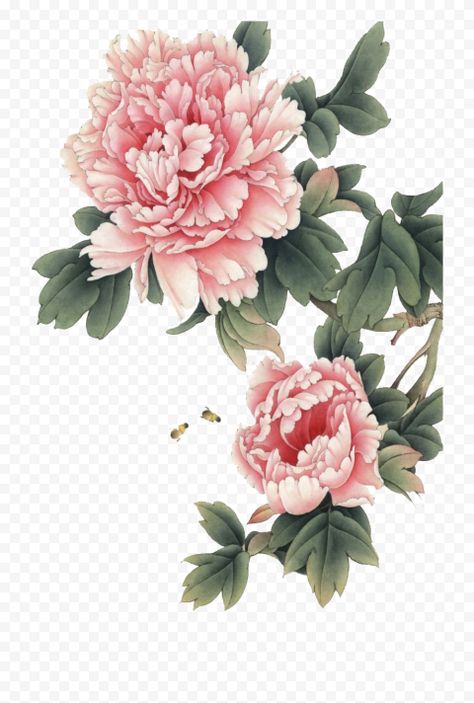 Pink Flower Illustration, Peony Illustration, Wall Relief, Chinese Flowers, Planting Peonies, Chinese Flower, Ink Wash Painting, Flower Outline, Watercolor Peonies