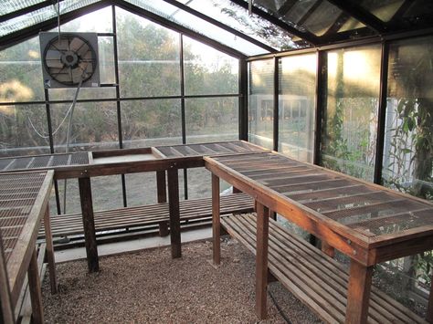 ROCK ROSE: TONIGHT'S THE NIGHT Greenhouse Tables, Greenhouse Shelves, Greenhouse Benches, Ormanlık Alan, Diy Greenhouse Plans, Greenhouse Shed, Greenhouse Interiors, Home Greenhouse, Wooden Greenhouses