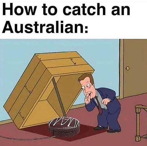 Australia Stereotypes, Australian Memes Funny, Aussie Meme, Australia Meme, Beach Memes, Aussie Memes, Funny Aussie, Australian Memes, Meanwhile In Australia