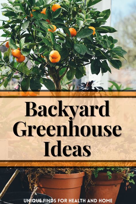 backyard greenhouse ideas Outdoor Greenhouse Ideas, Garden Greenhouse Ideas, Backyard Greenhouse Ideas, Tiny Greenhouse, Affordable Backyard Ideas, Backyard Ideas For Small Yards, Garden Goals, Outdoor Greenhouse, Homesteading Ideas