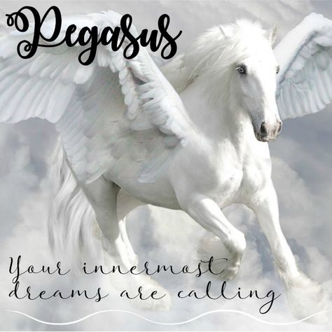 Pegasus Symbolism & Meaning | Pegasus Spirit Guide and Animal Totem | Dream Symbolism of Pegasus | Legend and Myth of Pegasus Horse With Wings, Greek Mythological Creatures, Wallpaper Unicorn, Pegasus Art, Unicorn And Fairies, Magical Horses, Unicorn Pictures, Fantasy Horses, Winged Horse