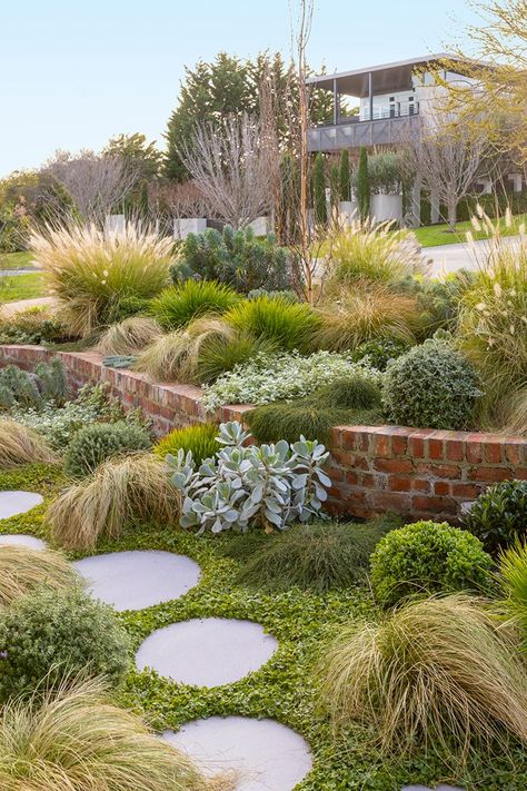 How to grow a coastal garden | Better Homes and Gardens Australian Garden Design, Diy Landscape, Coastal Garden, Australian Native Garden, Front Garden Design, Dry Garden, Australian Garden, Australian Native Plants, Coastal Gardens