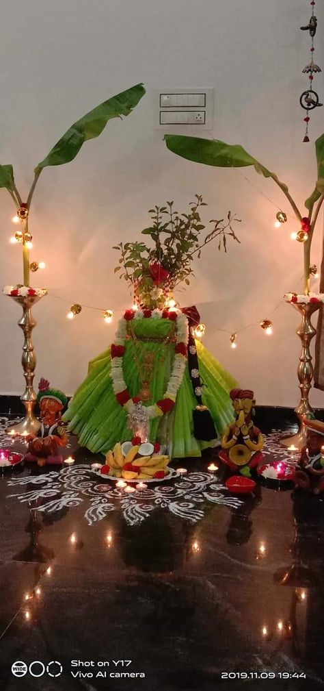 Tulsi Festival Decoration, Tulsi Vivah Decoration At Home, Tulsi Plant Decor, Tulsi Pooja Decoration, Tulsi Vivah Decoration, Tulasi Decoration, Thulasi Plant Decoration, Tulsi Pooja, Tulsi Vivah Rangoli