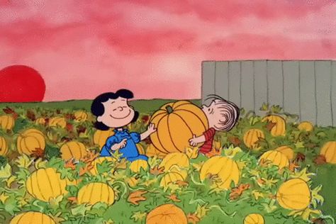 Peanuts halloween charlie brown great pumpkin its the great pumpkin charlie brown Charlie Brown Y Snoopy, Charlie Brown Wallpaper, Peanuts Wallpaper, It's The Great Pumpkin Charlie Brown, Peter Pumpkin, Charlie Brown Thanksgiving, Great Pumpkin Charlie Brown, Pumpkin Eater, It's The Great Pumpkin