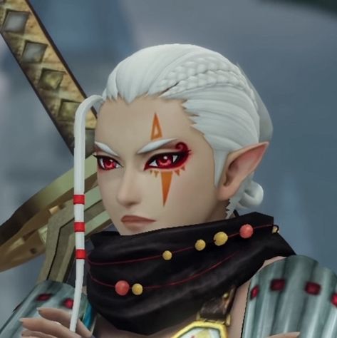 Impa Hyrule Warriors, Hyrule Warriors Definitive Edition, Legend Of Zelda Characters, Hyrule Warriors, Jojo Bizarre, Legend Of Zelda, Video Game, Profile Picture, Zelda