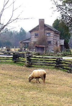 Appalachian Cabin Appalachian Town Aesthetic, Appalachian Architecture, Appalachian House, Appalachia Core, Appalachian Cabin, Appalachian Home, Appalachian Farm, Appalachian Folklore, Appalachian Gothic