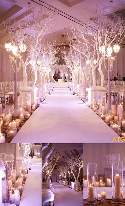 winter wonderland aisle!!                                                                                                                                                                                 More Aisle Runner Wedding, White Trees, Wedding Ceremony Ideas, Winter Wonderland Wedding, Aisle Runner, Ceremony Wedding, Wonderland Wedding, Mod Wedding, Glamorous Wedding