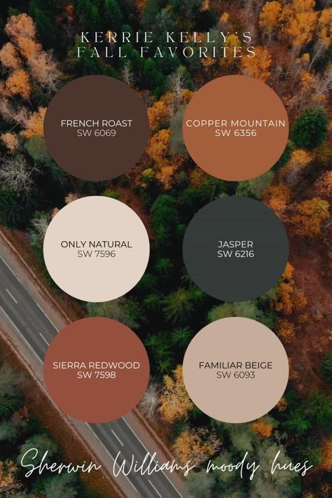 Fall Paint Colors, Earth Tone Living Room, Diy Fall Wreaths, 2024 Bathroom, Earth Tone Color Palette, Warm Paint Colors, Earthy Living Room, Color Palette Living Room, Earthy Home