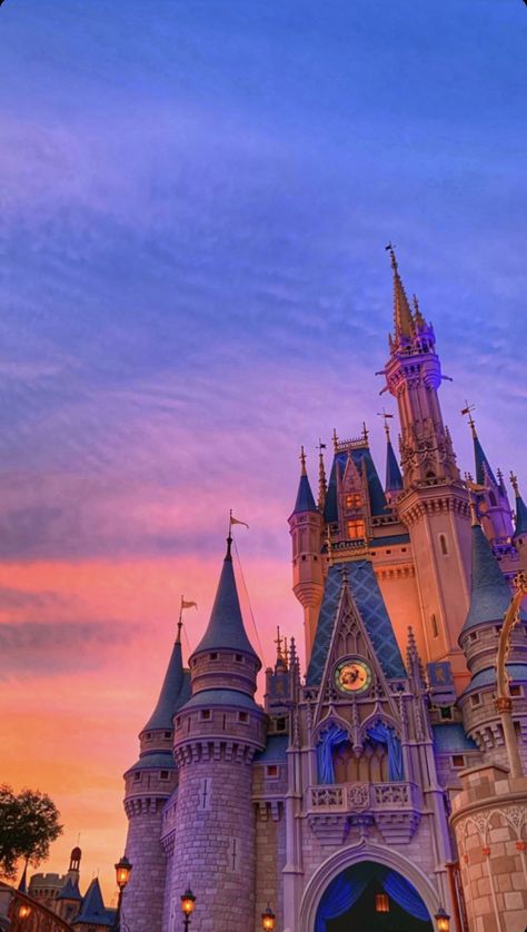 Disneyworld Aesthetic, Paris Aesthetic Wallpaper, Iphone Wallpaper Disney, Disney World Aesthetic, Dunia Disney, Aesthetic Disney, Disneyland Castle, World Aesthetic, Disney World Pictures