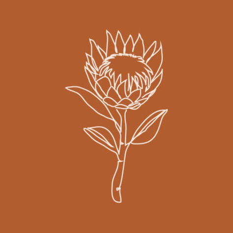 Protea Tattoo Small Simple, Protea Drawing Simple, Fine Line Protea Tattoo, Protea Flower Drawing, Protea Line Drawing, Protea Drawing, Protea Tattoo, Potters Studio, Minimalist Sketch