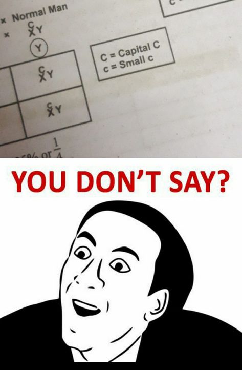 You don't say? You Don't Say Jokes, You Don’t Say Jokes, You Don't Say, You Don’t Say, You Dont Say Meme, You Dont Say, Say That Again, Funny Animal Jokes, Very Funny Jokes