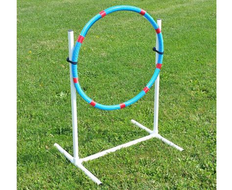 Homemade Agility Course For Dogs, Dog Park Party, Dog Agility Diy, Dog Agility Course Diy, Backyard Dog Area, Dog Backyard, Dog Agility Course, Dog Sweater Crochet Pattern, Diy Dog Toys