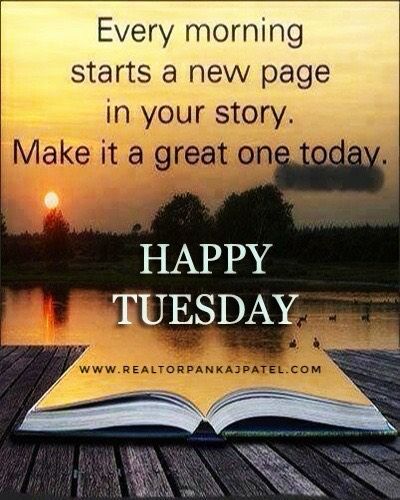 Every morning starts a new page in your story. Let’s make it a great one today 🌞#tuesday Its Tuesday, Tuesday Quotes, Morning Start, Tuesday Morning, Happy Tuesday, Your Story, Make It, Let It Be, Quotes