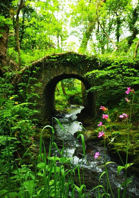 Fairy Bridge Isle Of Man, Isle Of Man Aesthetic, Fairy Bridge, Real Fairy, Old Bridges, Stone Bridge, Manx, Isle Of Man, Magical Places